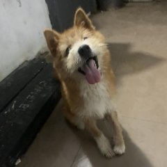 KEN