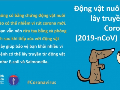 CATS AND DOGS DO NOT TRANSMIT SARS-COV-2 TO HUMANS CATS AND DOGS DO NOT TRANSMIT SARS-COV-2 TO HUMANS