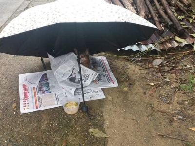 TO INFORM HALF-HEARTEDLY TO INFORM HALF-HEARTEDLY