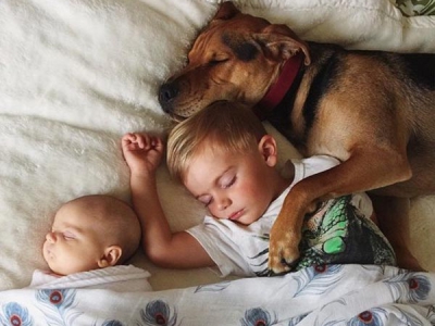 ƯU VÀ NHƯỢC ĐIỂM KHI NGỦ CHUNG GIƯỜNG VỚI CHÓ ƯU VÀ NHƯỢC ĐIỂM KHI NGỦ CHUNG GIƯỜNG VỚI CHÓ