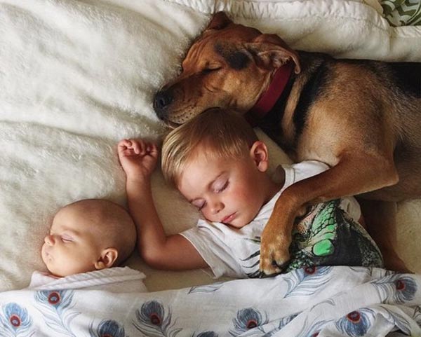 NGỦ CHUNG GIƯỜNG VỚI CHÓ