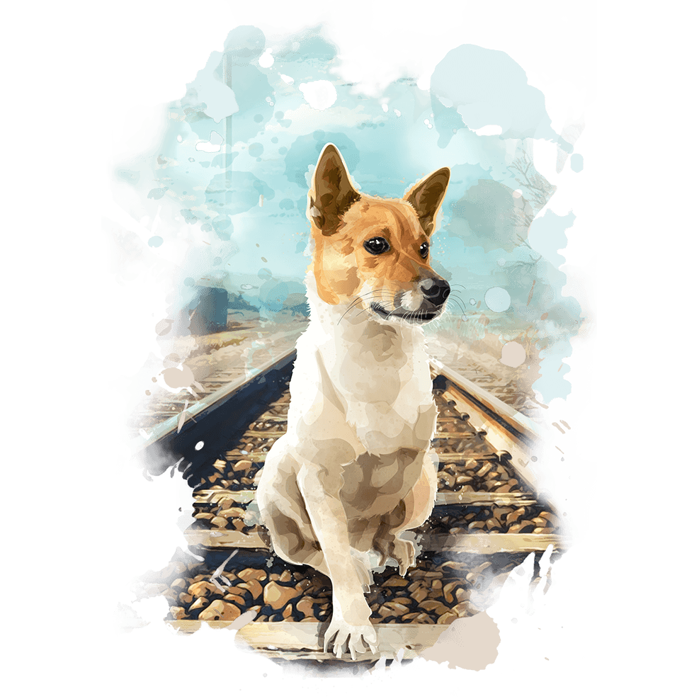 Các case cứu hộ Các case cứu hộ