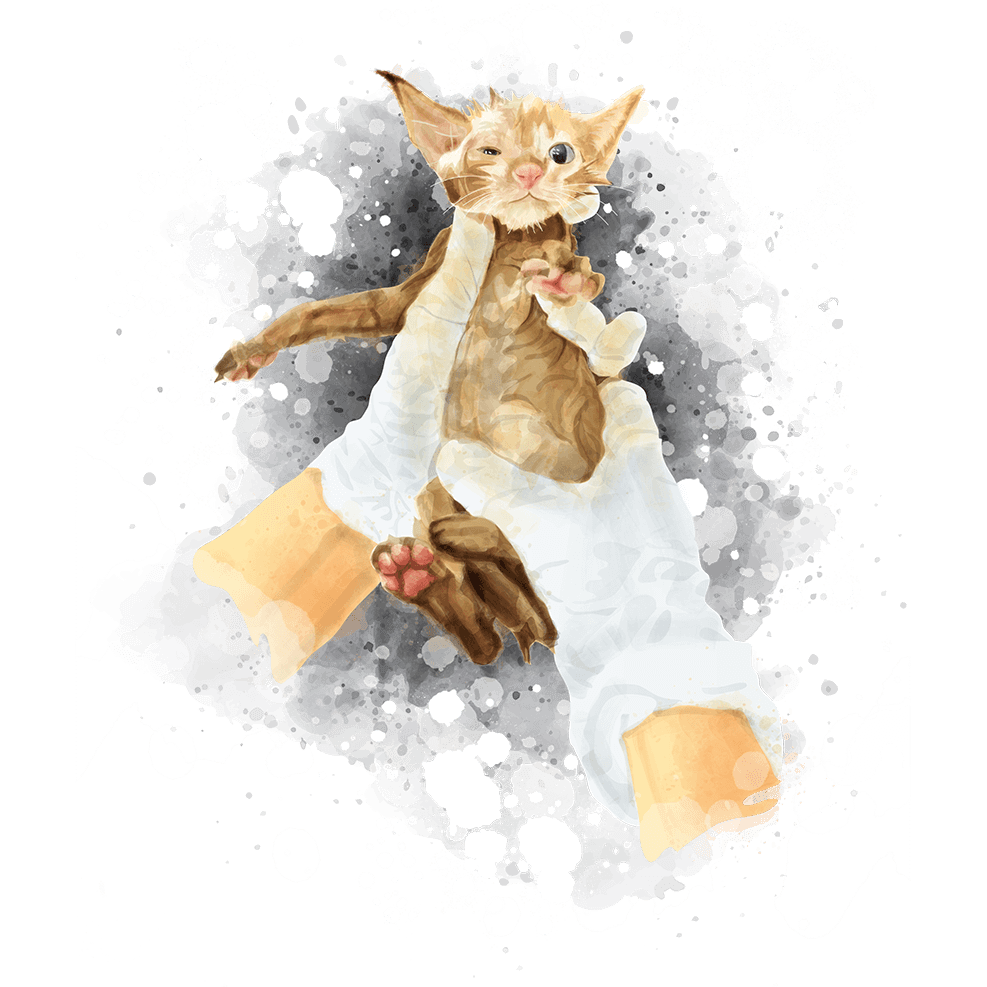 Ủng hộ - gây quỹ Ủng hộ - gây quỹ